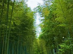 -黄公望隐居地