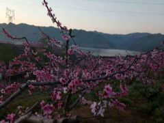 -河口景区