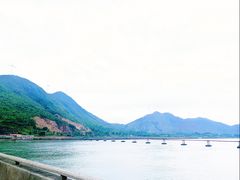 -广东惠东海龟国家级自然保护区