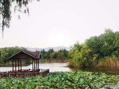 -上海市保健医疗中心