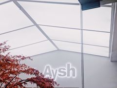 -艾薯夫妇Aysh(福田星河COCOPark店)