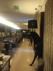 -俏江南户外宴会花园·梓塘婚礼堂(马场道店)