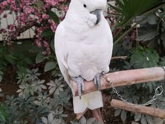 -南宫五洲植物乐园