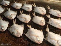 -星伦多自助料理(爱琴海店)