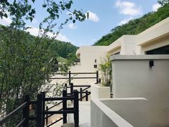 -Local泰莲庭(虹鳟鱼店)