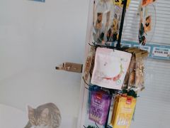 -瑞派福兴宠物医院犬猫全科·骨科·中西医结合(河东店)