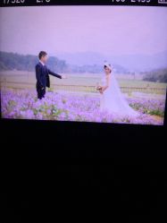 点击看大图 -青禾婚纱摄影(杭州店)