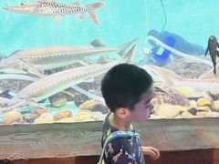 -太平洋海底世界