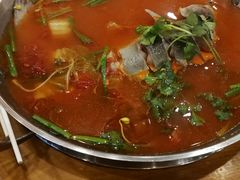 -新凯里酸汤鱼(飞山街店)
