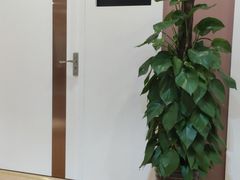 -爱康国宾体检中心(五角场万达广场分院)