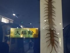 -上海昆虫博物馆