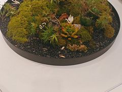 -玉华台饭庄·淮扬菜·烤鸭(望京店)