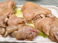 -丁老爷子苏香圆