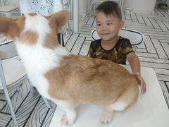 -白夜2D咖啡馆