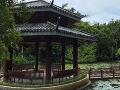 -三亚亚龙湾人间天堂鸟巢度假村