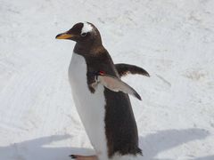 -大连老虎滩海洋公园