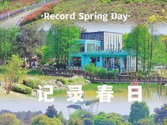 -铁山坪森林公园