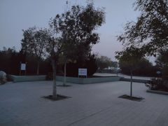 -大港湿地公园