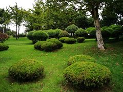 -日照灯塔风景区