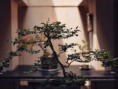 -元古本店(南锣鼓巷店)