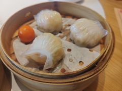 -点都德·毕德寮