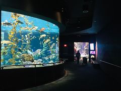 -瑞普利水族馆