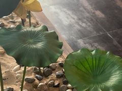 -素心斋素食餐厅