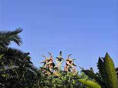 -达蓬山旅游度假区