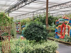 -南宫五洲植物乐园