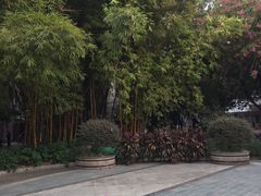 -垂虹公园