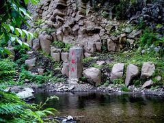 -望天鹅景区