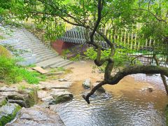 -阳台山森林公园