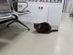 -美美宠物诊疗中心·异宠·骨科(滨江东信分院)