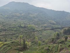 -杨家堂村