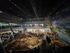 -自贡恐龙博物馆