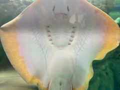 -珠海长隆海洋王国
