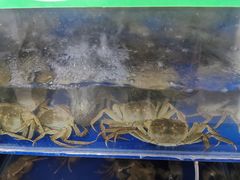 -阳澄湖大闸蟹·琼灵阁牌品牌连锁(吴中总店)