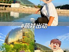 -钱江新城灯光秀
