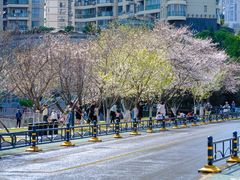 -西北湖绿化广场