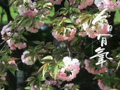 -南京奥林匹克体育中心