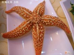 好看好玩多过好吃的海星-海岛渔村大酒店(云霄路店)