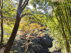 -广州市石门国家森林公园