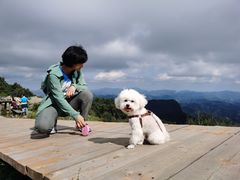 -白草畔自然风景区