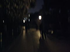 -荆川公园