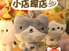 -猫的天空之城概念书店(大学路店)