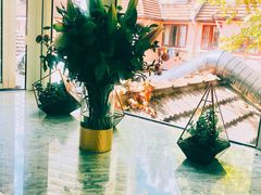 -蝶舍·MAISON PAPILLON