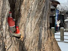 -医王山·飞騨国分寺