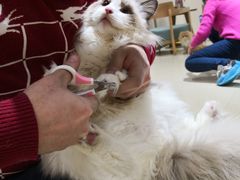 -藏猫猫咖啡主题馆(中央大道店)