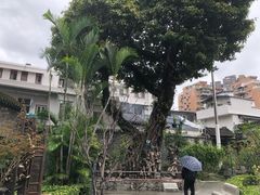 -陈家祠堂-游客中心