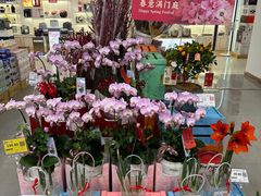 -厦门大西洋天虹百货商场